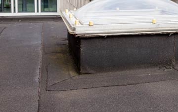 disadvantages of Upper Netchwood flat roofs