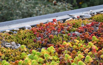 the cost of Upper Netchwood green roof installation