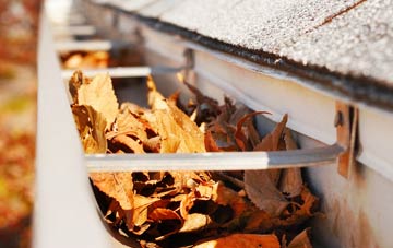 Upper Netchwood gutter cleaning companies