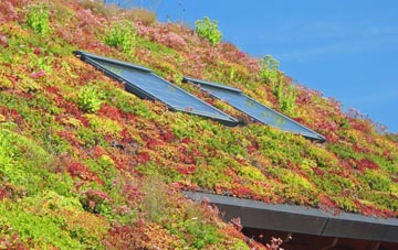 Upper Netchwood living roof systems