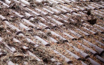 Upper Netchwood roof cleaning companies