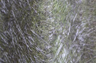 Upper Netchwood fibreglass roof work