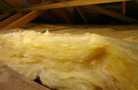 Upper Netchwood pitch roof insulation